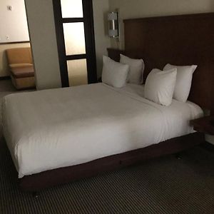 King Room Sofa Bed High Floor